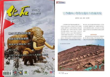 Geological teachers and students of our college found small dinosaur egg fossils